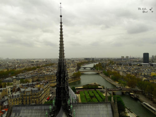 Vista da cidade em cima da Notre Dame